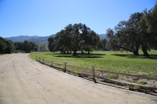 Enlarge photo 429