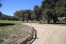 Enlarge photo 430