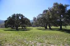 Enlarge photo 431