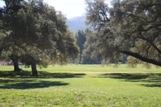 Enlarge photo 432