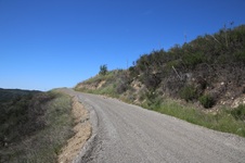 Enlarge photo 433