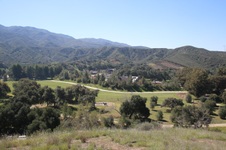 Enlarge photo 436