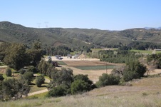 Enlarge photo 437