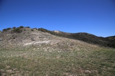 Enlarge photo 439
