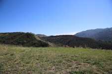Enlarge photo 440