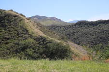 Enlarge photo 441