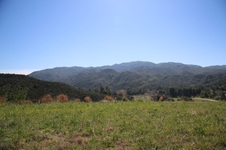 Enlarge photo 442