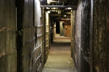Enlarge photo 133