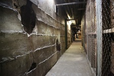 Enlarge photo 143