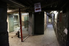 Enlarge photo 160