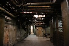 Enlarge photo 182