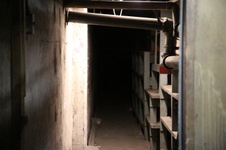 Enlarge photo 187