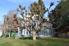 Enlarge photo 56