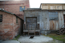Enlarge photo 23