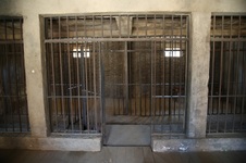 Enlarge photo 37
