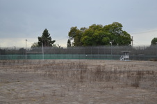 Enlarge photo 53