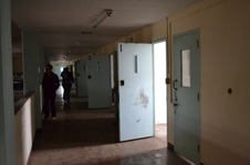 Enlarge photo 135