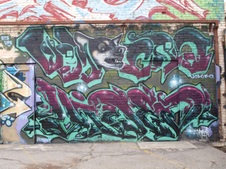 Enlarge photo 64