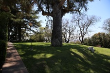 Enlarge photo 54