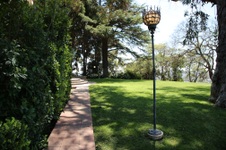 Enlarge photo 55