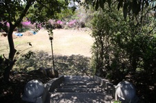 Enlarge photo 61
