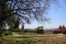Enlarge photo 63