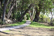 Enlarge photo 66