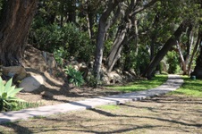 Enlarge photo 67