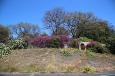 Enlarge photo 84