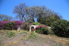 Enlarge photo 85