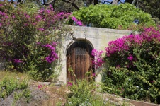 Enlarge photo 86