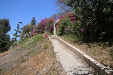 Enlarge photo 87
