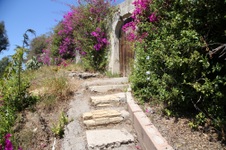 Enlarge photo 88