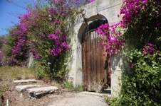 Enlarge photo 89