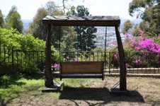 Enlarge photo 91