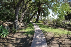 Enlarge photo 92
