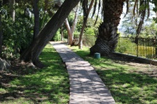 Enlarge photo 93