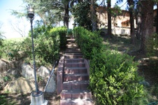 Enlarge photo 95