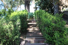 Enlarge photo 96