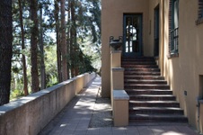 Enlarge photo 106