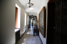 Enlarge photo 134