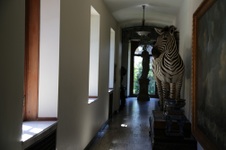 Enlarge photo 135
