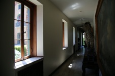Enlarge photo 137