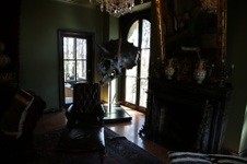 Enlarge photo 164