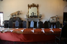 Enlarge photo 176