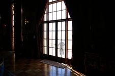 Enlarge photo 73