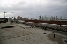Enlarge photo 261