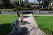 Enlarge photo 36