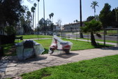 Enlarge photo 37