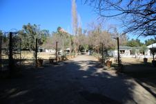 Enlarge photo 139